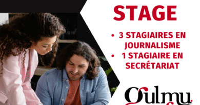 GULMU INFO – APPEL À CANDIDATURES POUR STAGES