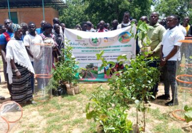 Diabo : 7 600 plants pour reverdir le Faso et renforcer la résilience climatique