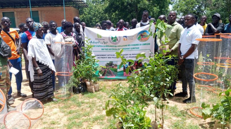 Diabo : 7 600 plants pour reverdir le Faso et renforcer la résilience climatique