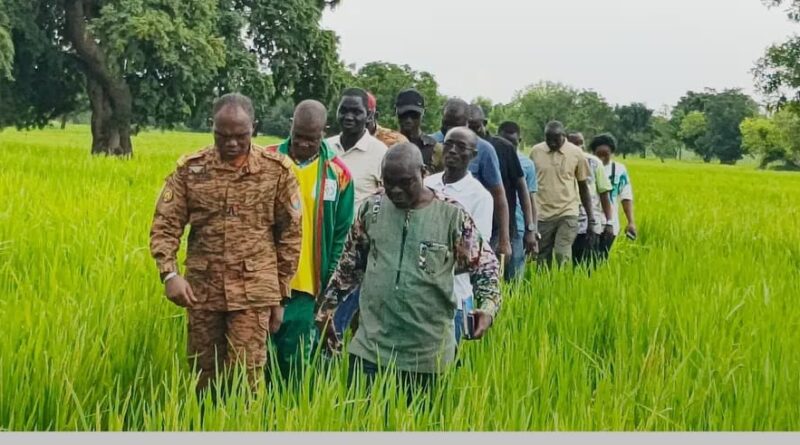 Burkina Faso : Dans l’Est, Ismaël Sombié mise sur la modernisation de l’aviculture et de la riziculture