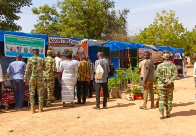 Fada N’Gourma : la région du Goulmou célèbre la richesse et le potentiel des produits forestiers non ligneux