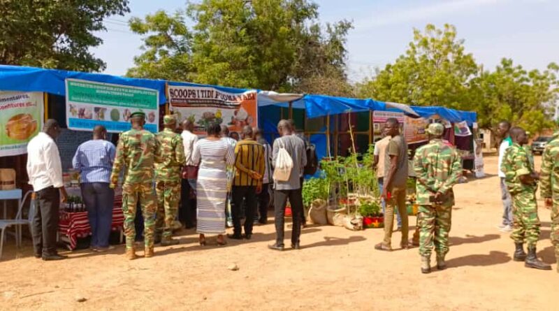 Fada N’Gourma : la région du Goulmou célèbre la richesse et le potentiel des produits forestiers non ligneux